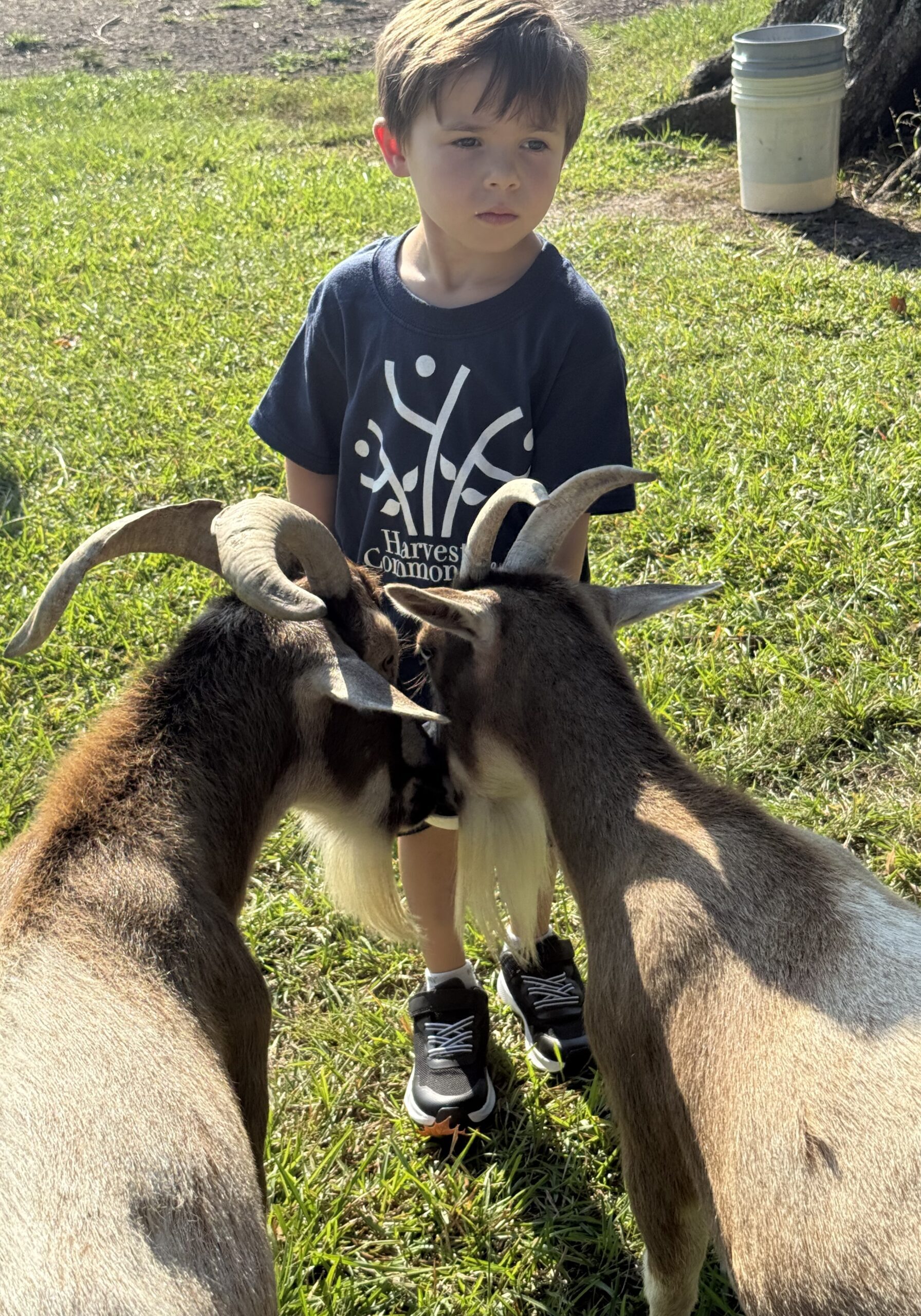 Photo Sep 14, 9 22 09 AM
